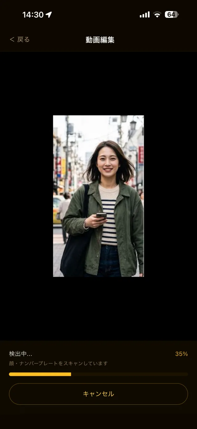 動画をモザイク処理している画面